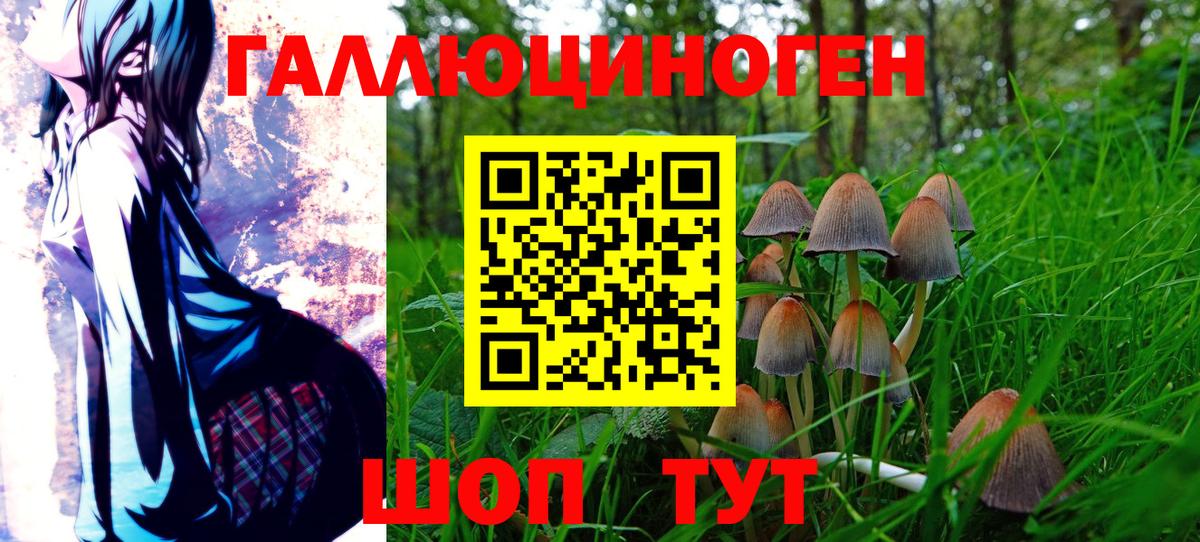 Муравленко  Галлюциногенные грибы мицелий  Вход с VPN  Галлюциногенные грибы Psilocybe 